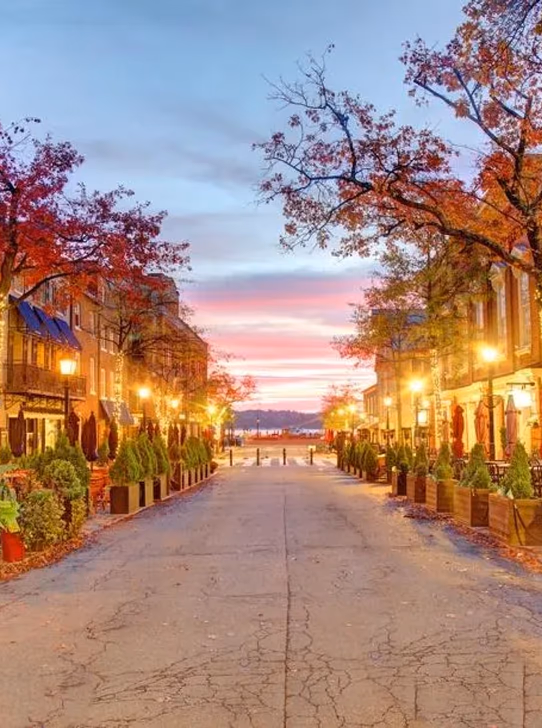 logo and branding services