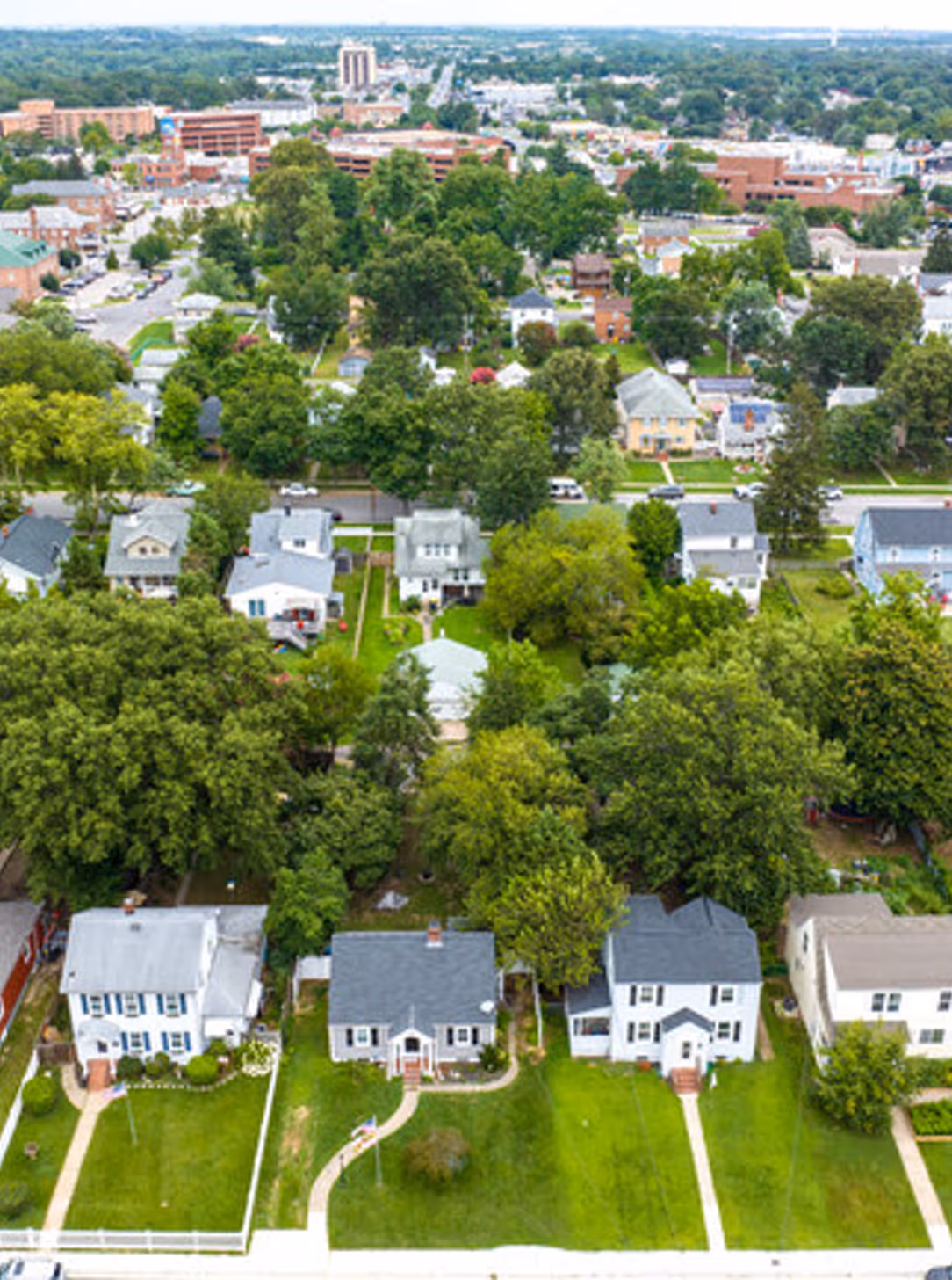 logo and branding services